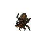 Carapex Broodmother