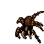 Phobia
